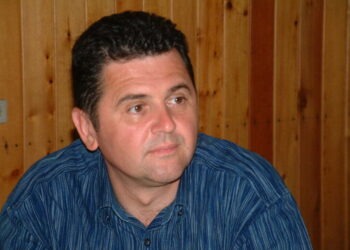 Stejarii din Botoşana, Cajvana şi Borzeşti