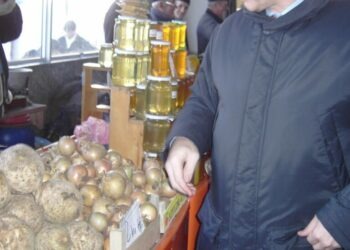 Agenţia de Piţipoance şi Intervenţii în Agricultură