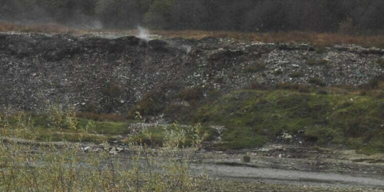 Societatea ecologistă multilateral dezvoltată