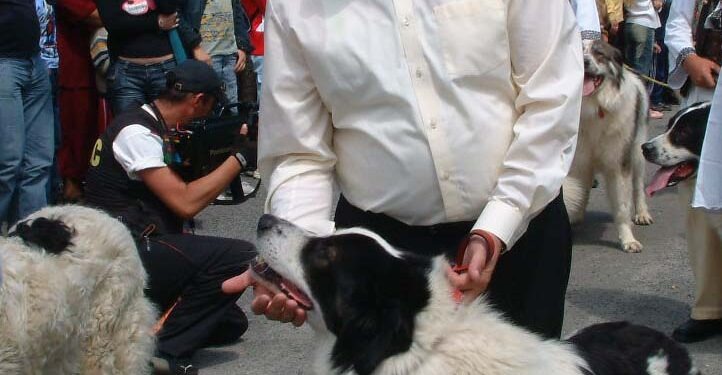 Nemulţumit de ecarisaj