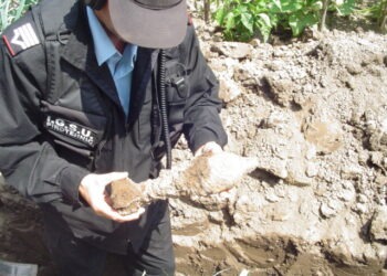 Bombă descoperită la Voroneţ