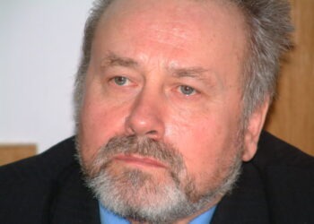 Mihai Vitcu, subprefect?