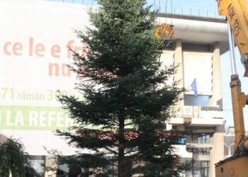 În centrul Sucevei a fost ridicat bradul de Crăciun