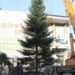 În centrul Sucevei a fost ridicat bradul de Crăciun