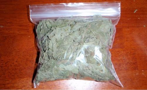 Sprijin pentru consumatorii de plante etnobotanice