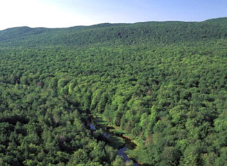 Activitatea silvică din judeţul Suceava este supravegheată din elicopter