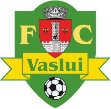 Un stadion nou ar putea aduce meciurile de cupe europene ale echipei FC Vaslui la Suceava