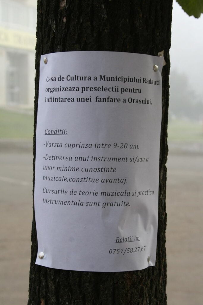 Atacul Casei de Cultură Rădăuţi asupra copacilor