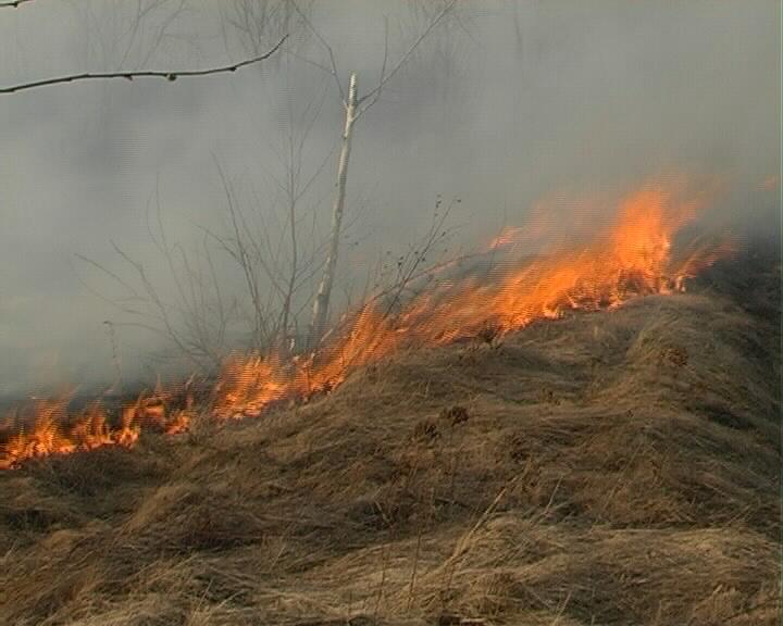 Fermieri amendaţi pentru că au dat foc la mirişti