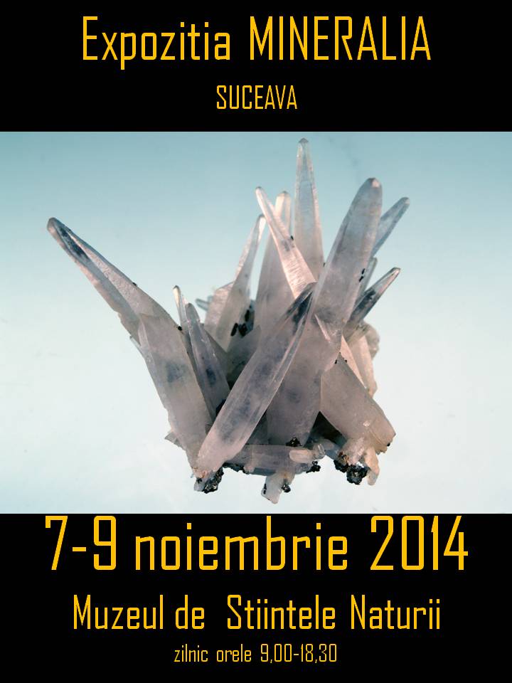 Se deschide expoziţia „Mineralia”