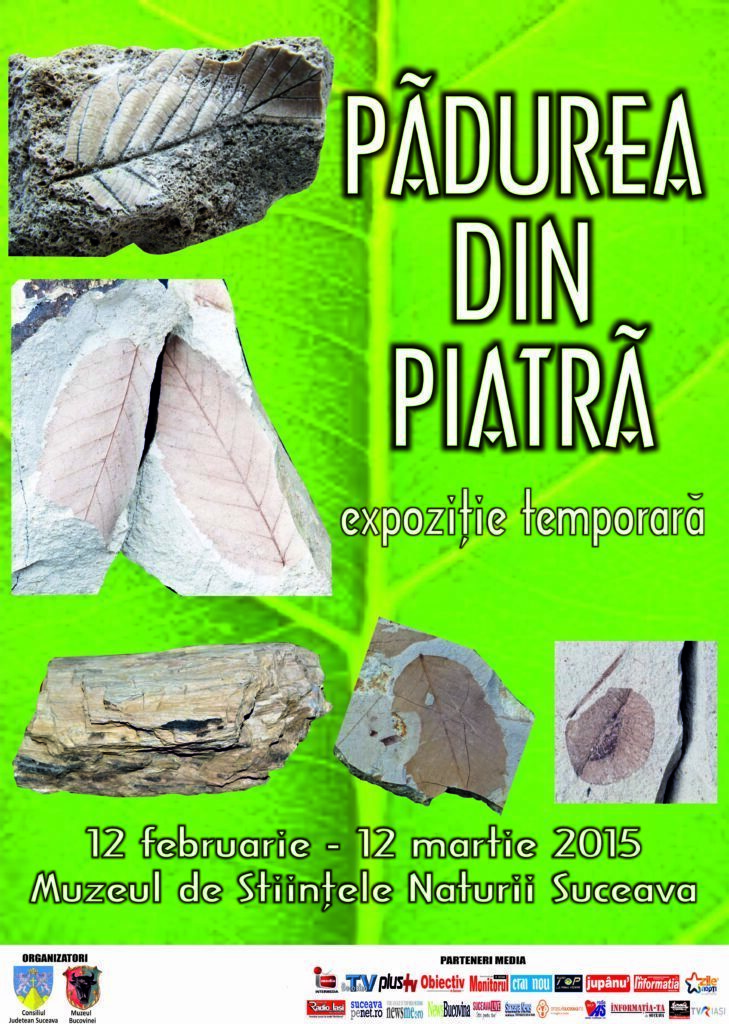 Se deschide expoziţia „Pădurea din piatră”