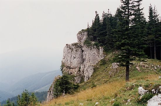 Punct de belvedere pe Rarău