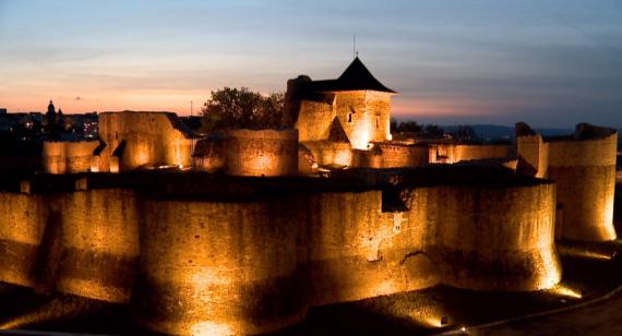 Camere video pe post de paznici