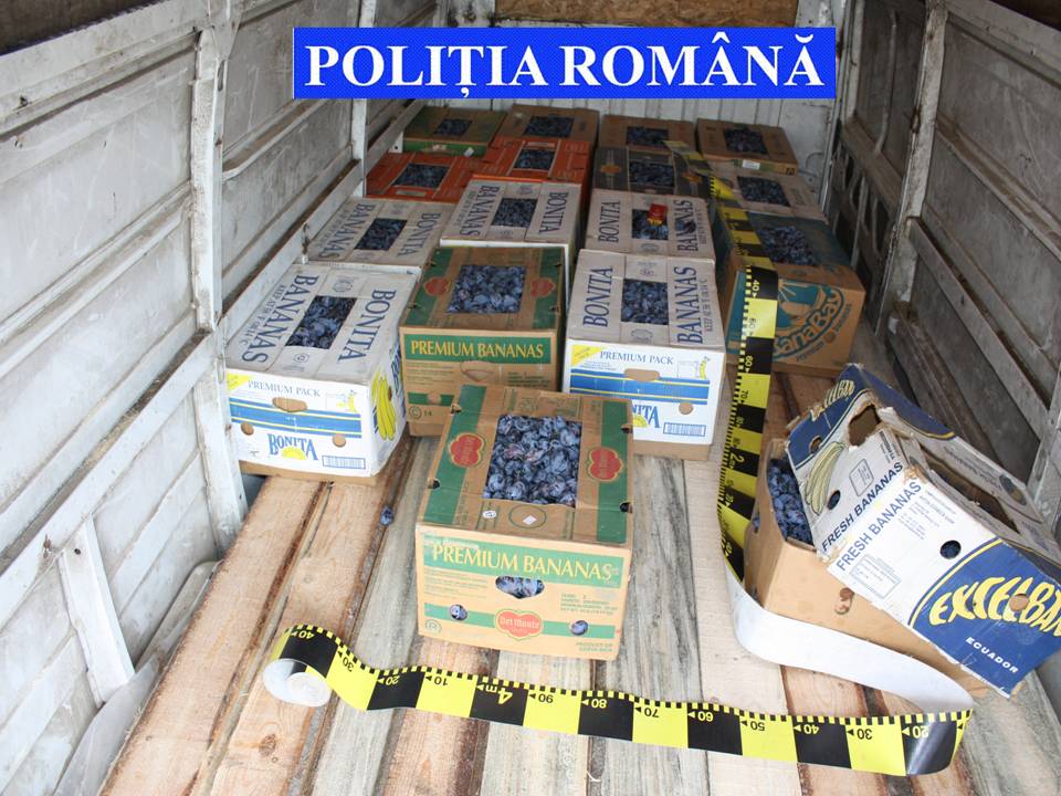 Ţigări de contrabandă camuflate în lăzi cu prune
