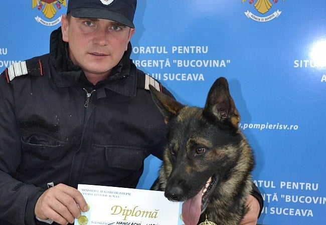 Olly, cîinele salvator, e campion