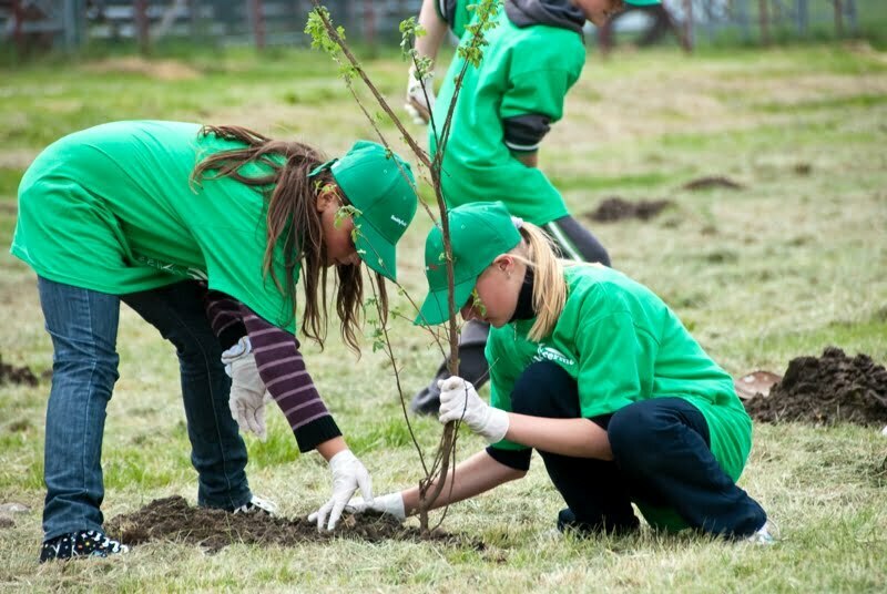 Investiţii pe termen lung