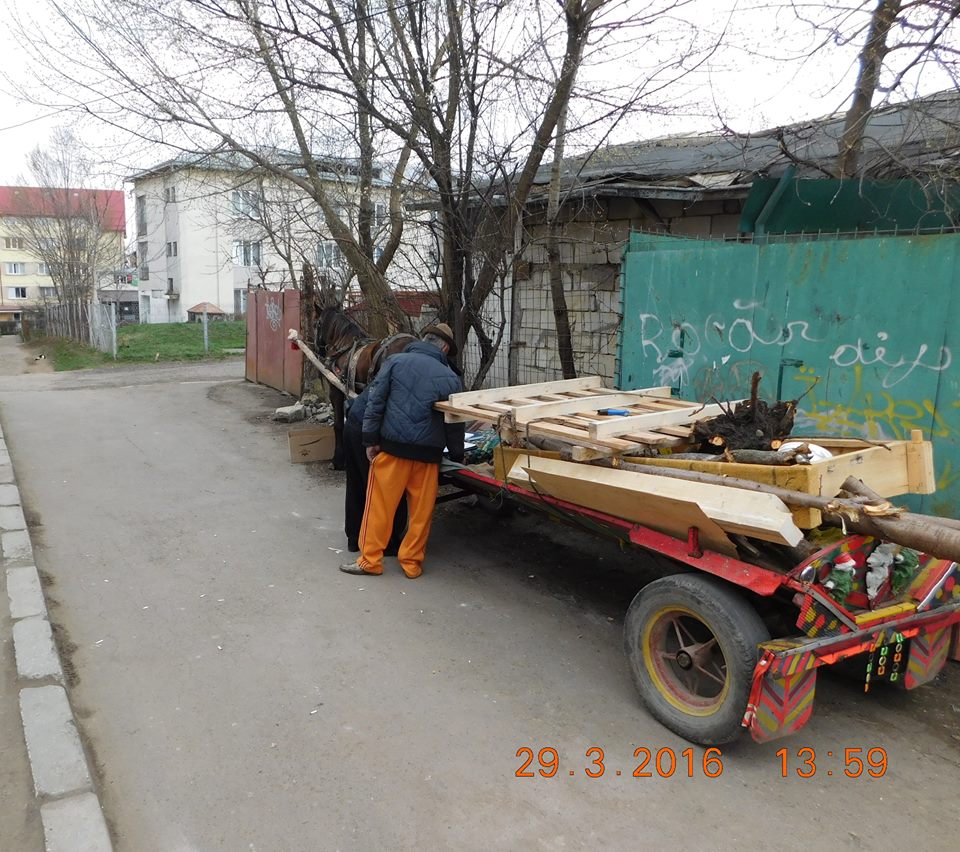 Căruţă imobilizată, cal abandonat