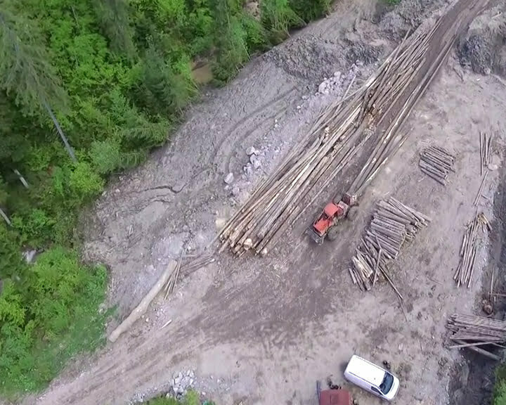 Cu o floare nu se face primăvara