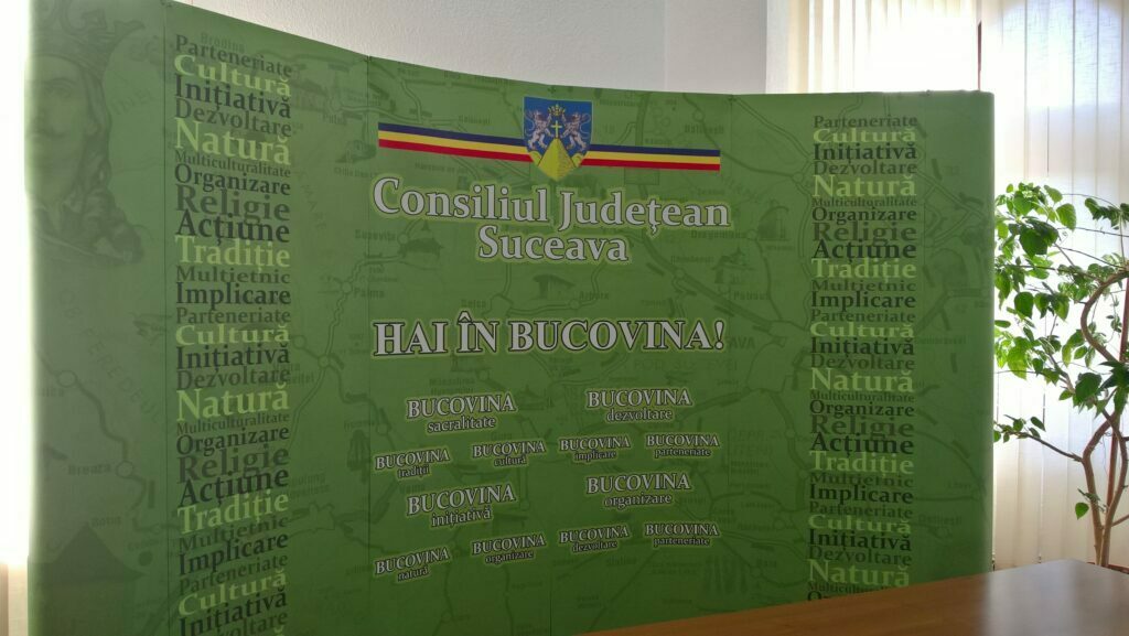 CJ Suceava, statuie şi logo nou