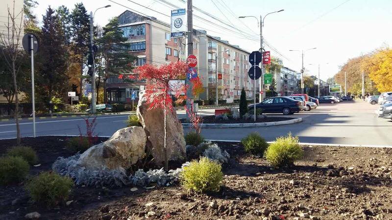 Domeniul Public, lăudat de viceprimarul Harşovschi