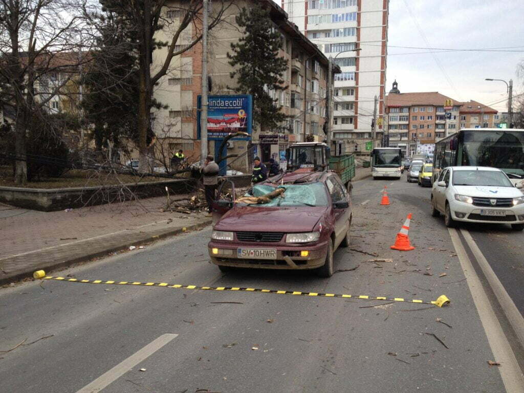 Din cauza vîntului, copaci căzuţi peste maşini
