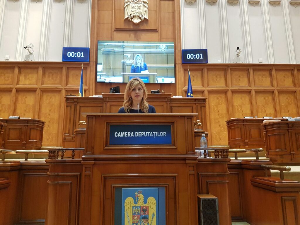 Cobuz, discurs despre importanţa României în UE