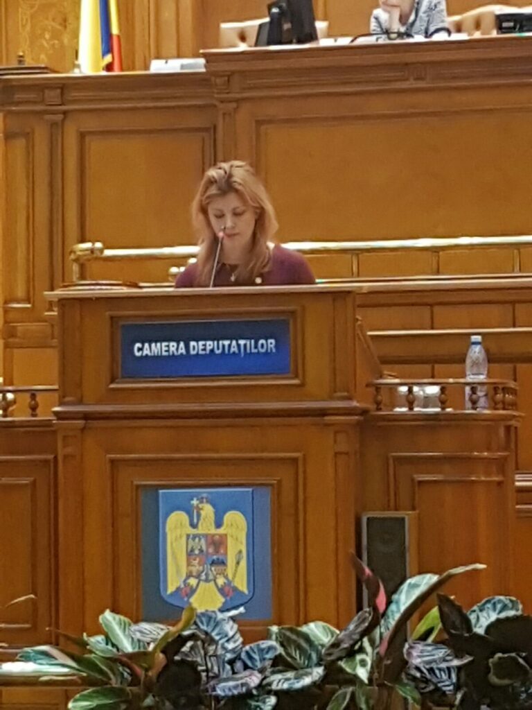 Deputata Cobuz, discurs în Parlament despre condiţia femeii