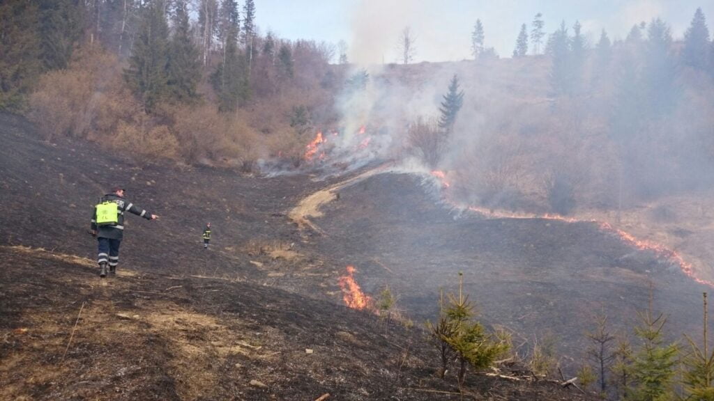 Opt incendii de vegetaţie uscată, într-o zi