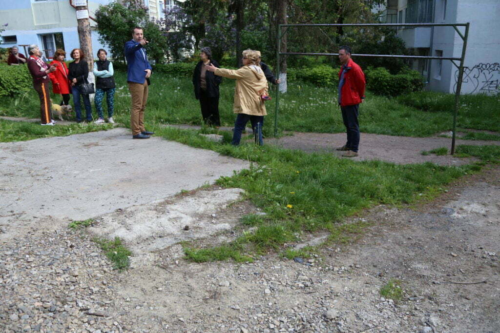 Discuţii timp de o oră pentru tăierea a trei brazi bătrîni