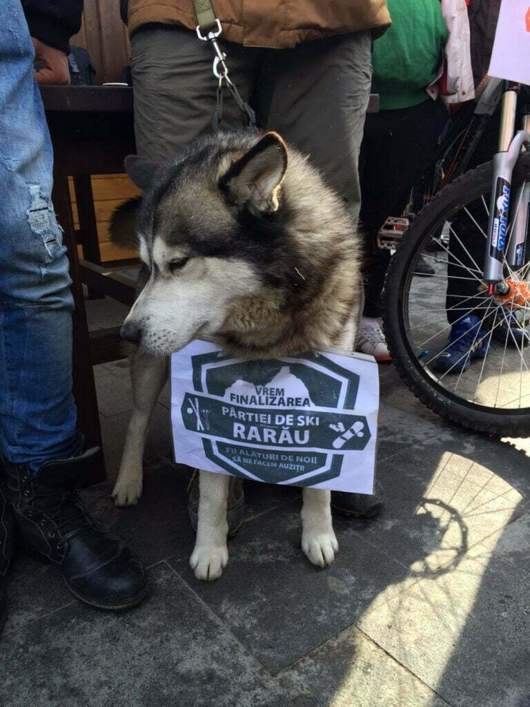 Uşor cu pîrtia pe scări