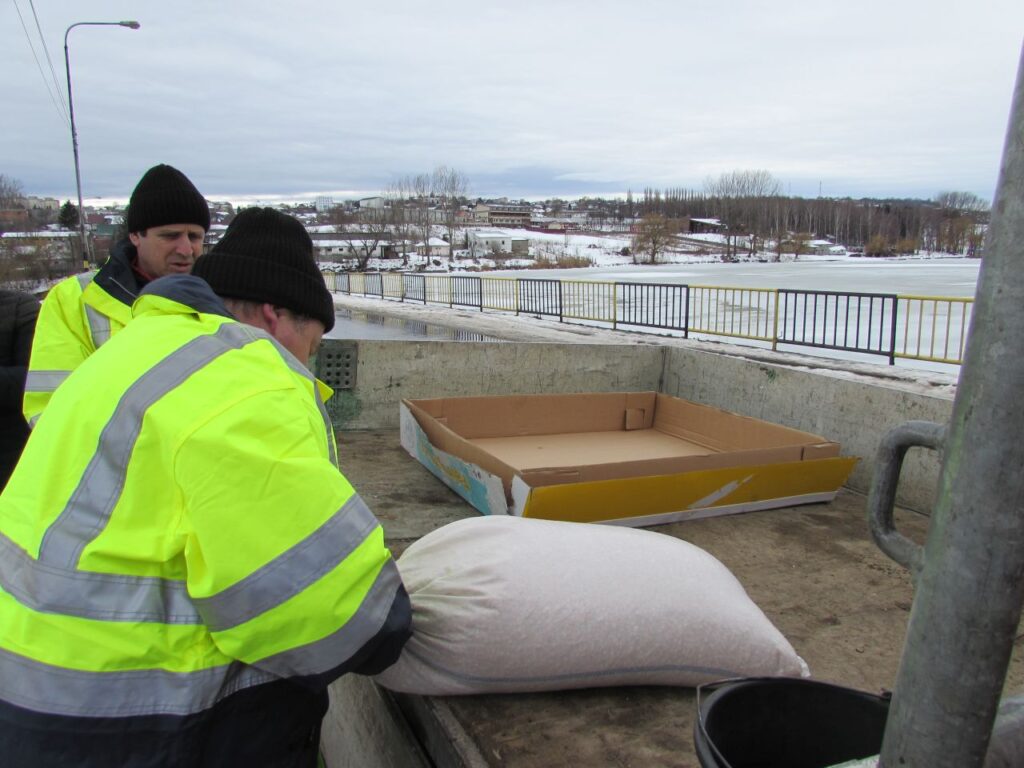 2 tone de grăunţe pentru lebedele de la Fălticeni