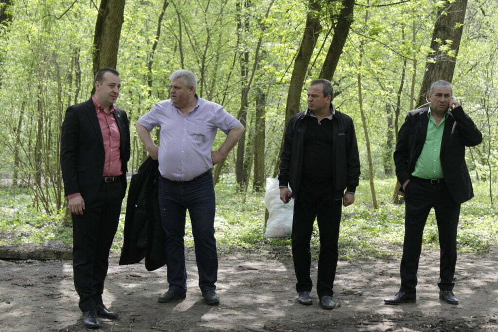 Sondaj despre blana ursului din pădure