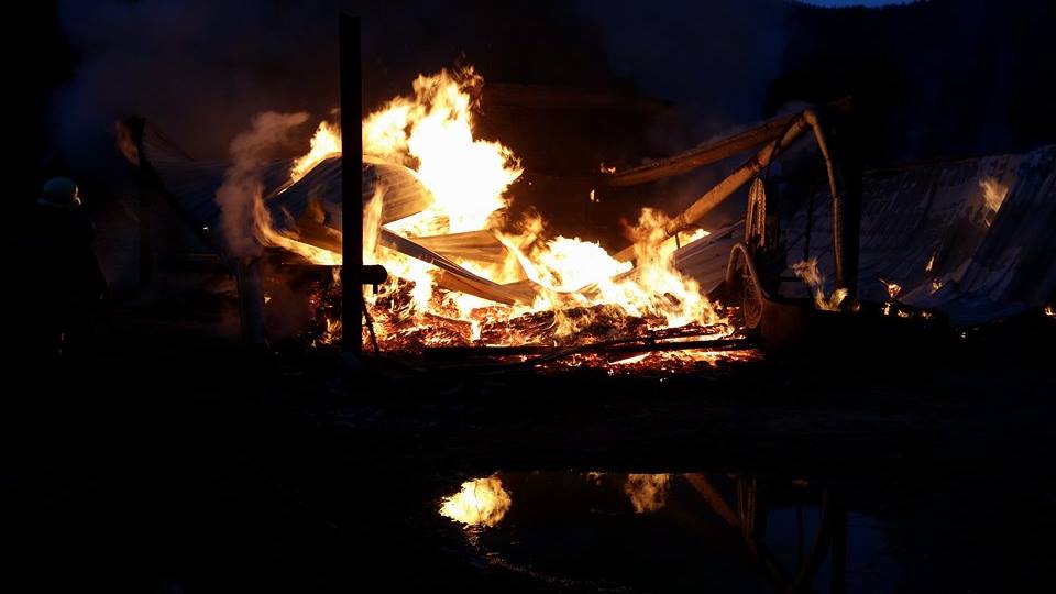 Rădăuţean carbonizat