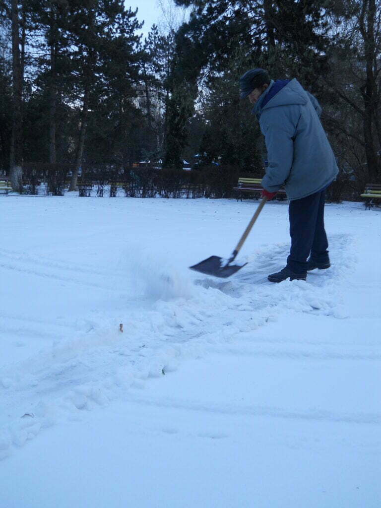 Cod galben de ninsori şi vînt
