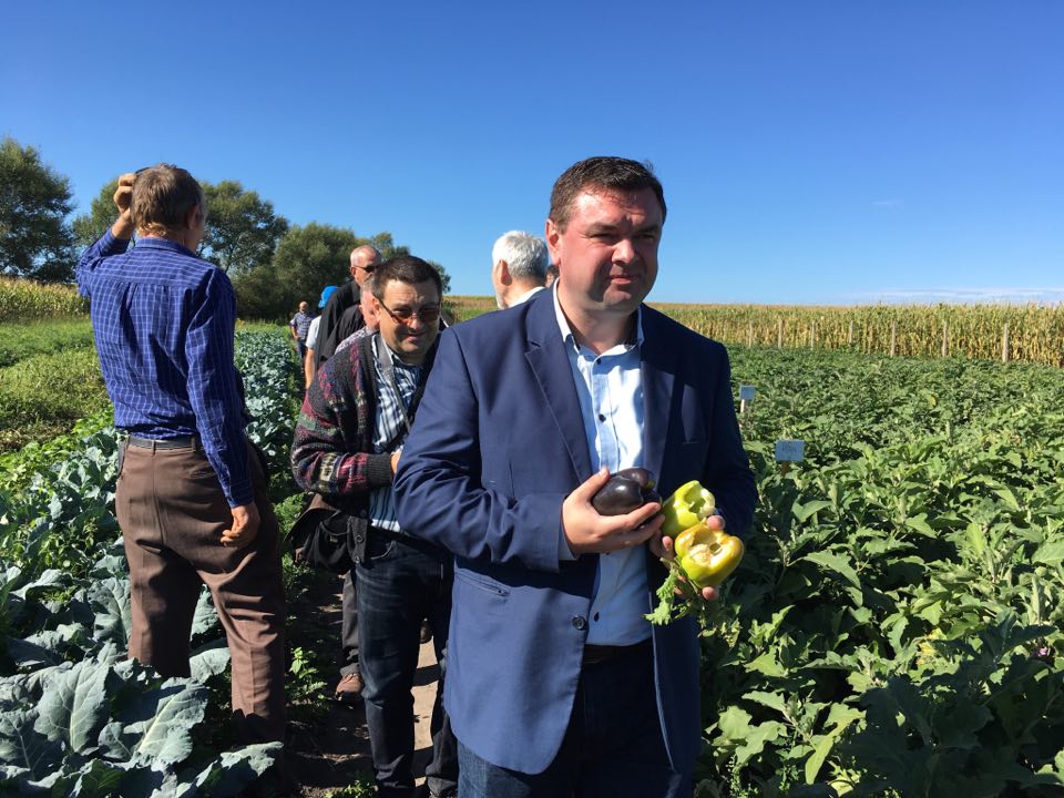 Deputatul Havrici şi lîna oii