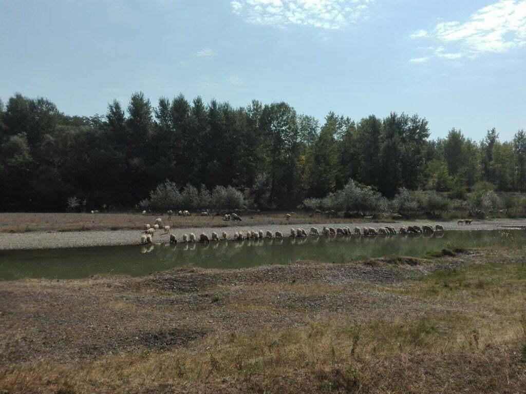Dezbaterea de la Rădăuţi, decalată