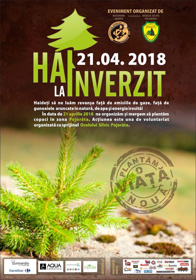 Lucrările de reparare a soclului statuii lui Ştefan, demarate