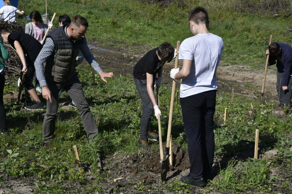 Direcţia Silvică şi Şcoala 4, plantări de puieţi la Mihoveni