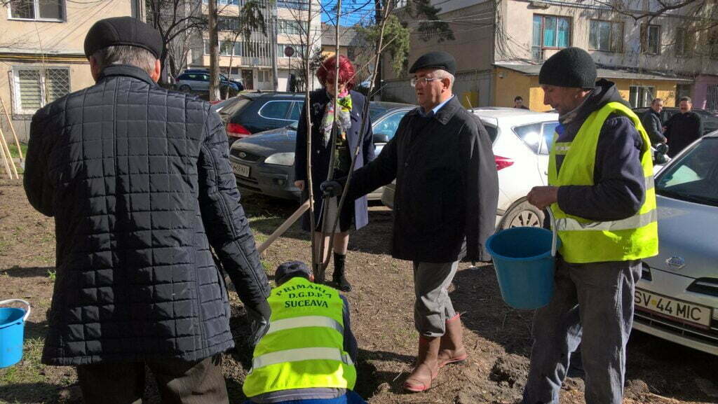 Lungu, la plantat puieţi pe str. Alexandru cel Bun
