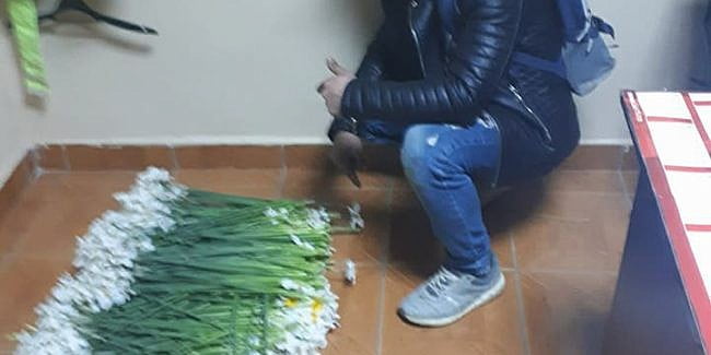 Hoţi de flori din cimitir