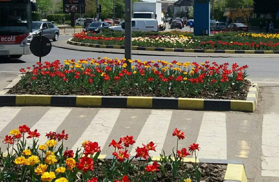 Tot înainte, că în spate podu-i rupt!