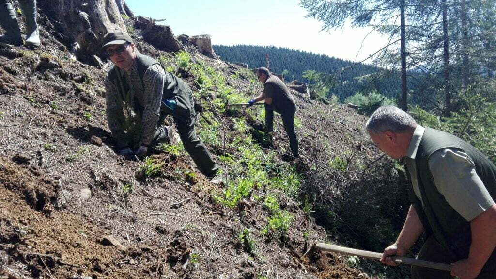 Garda Forestieră, la plantat pomi