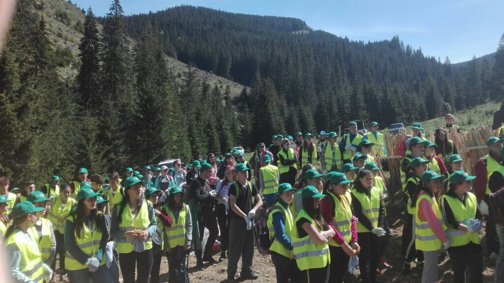 600 de voluntari la o acţiune de împădurire la Dorna Candrenilor