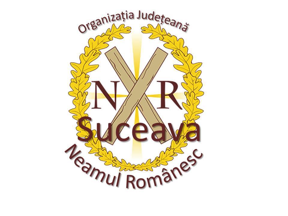 În Suceava a apărut un nou partid