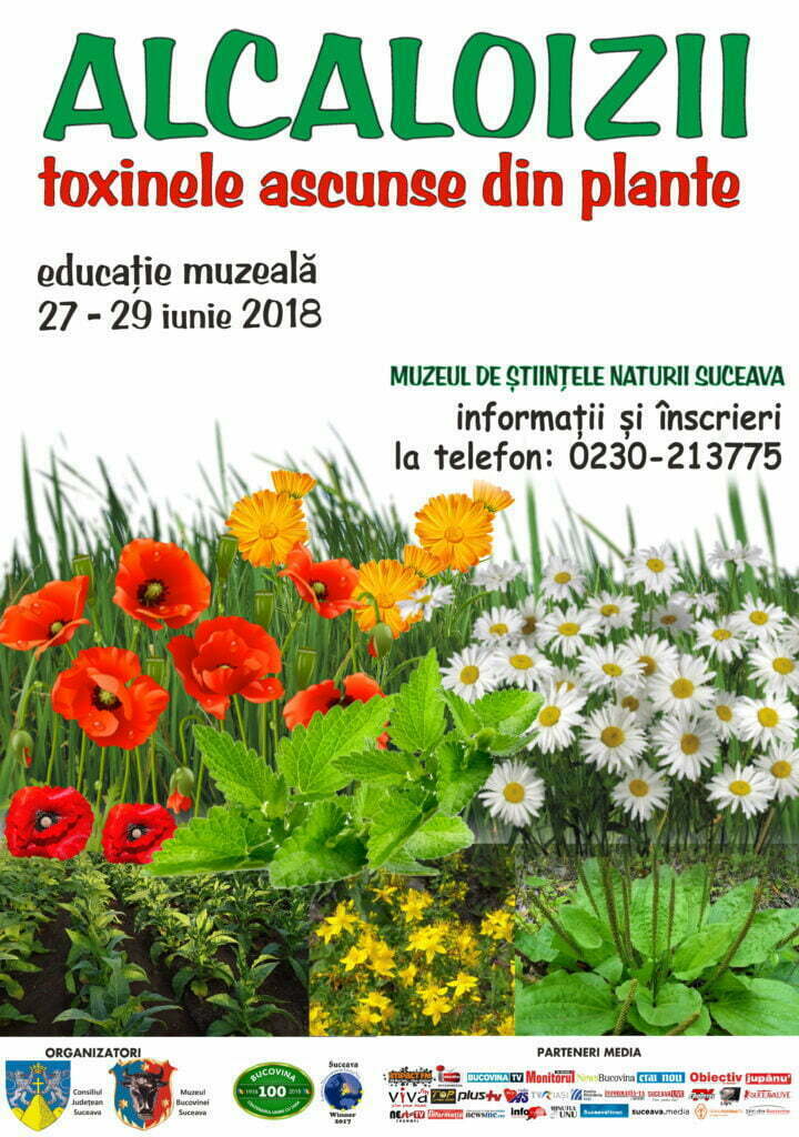 Ploi abundente, 7 localităţi afectate
