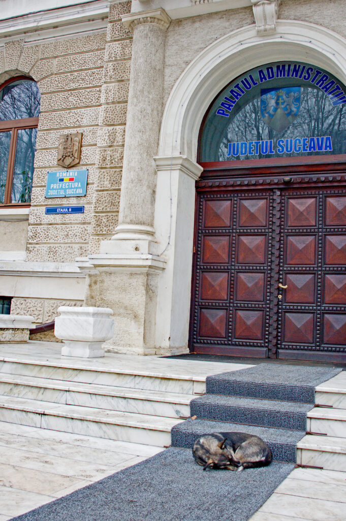 Să se termine odată cu fandoseala