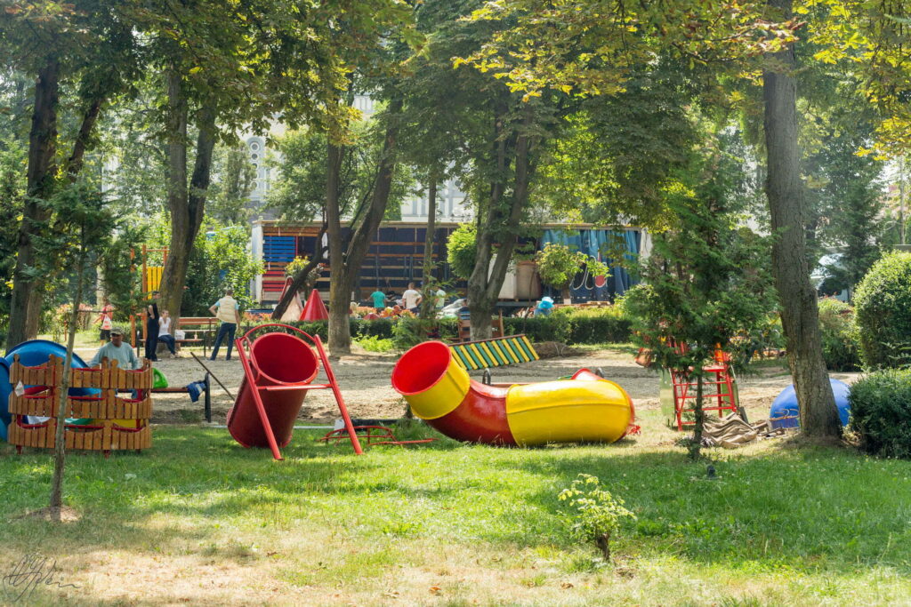 Dezinsecţie cu elicopterul, la Rădăuţi