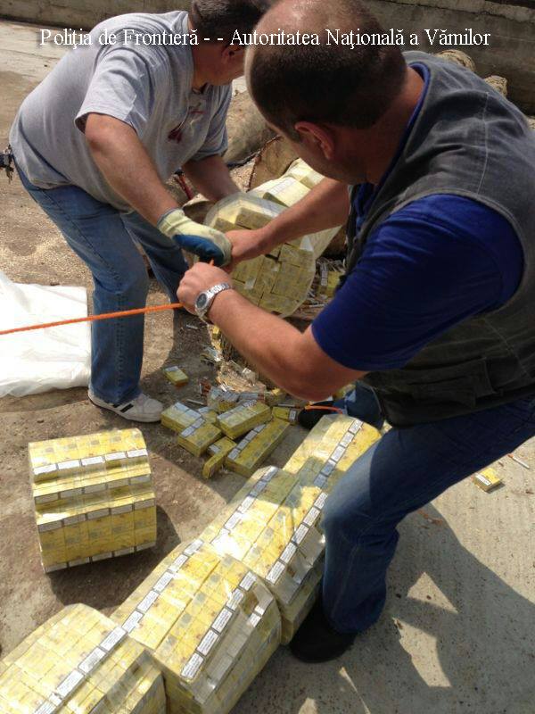 Un român şi un ucrainean, trimişi în judecată pentru contrabandă cu ţigări ascunse în buşteni