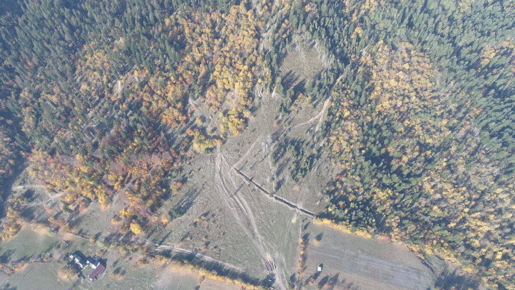 RNP-ul, lacom de pădure de Suceava