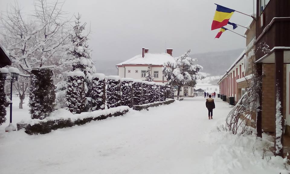Liceul Tehnologic Special Bivolărie, 110 ani de existenţă